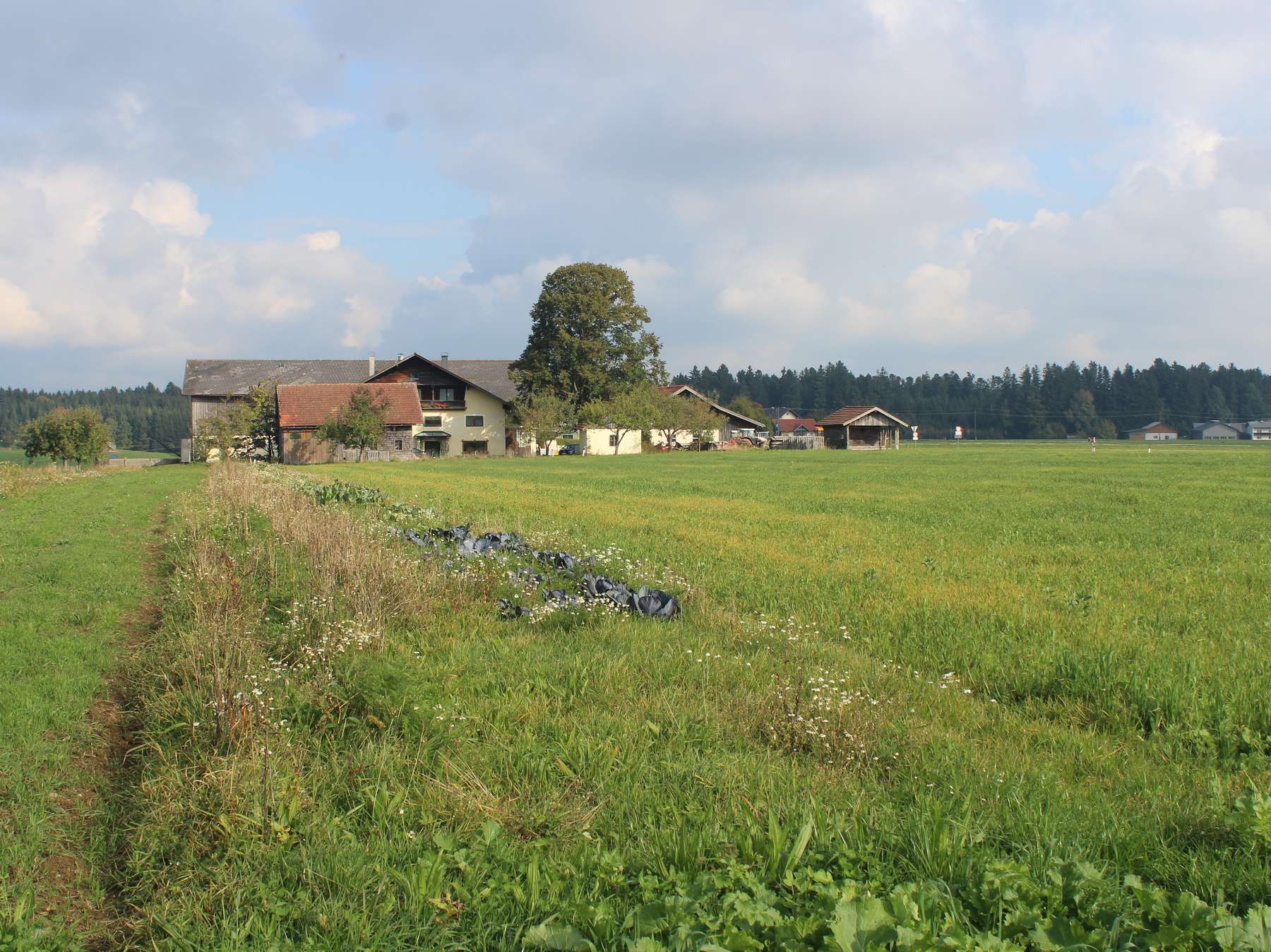 Botschafter für Biodiviersität kommt aus salzburg(c) Johanna Huber.jpg © Johanna Huber Botschafter für Biodiviersität kommt aus salzburg(c) Johanna Huber.jpg © Johanna Huber
