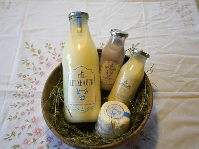 sb51_mt_milch.jpg © Gudrun Dürnberger sb51_mt_milch.jpg © Gudrun Dürnberger