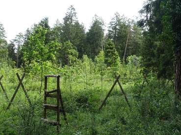 GAP 6 © LK VBg. (Mittel).jpg © LK VBg.