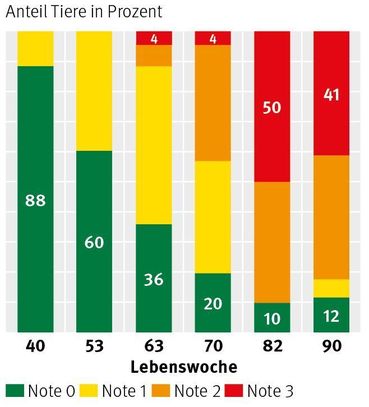 Grafik © LK Grafik © LK