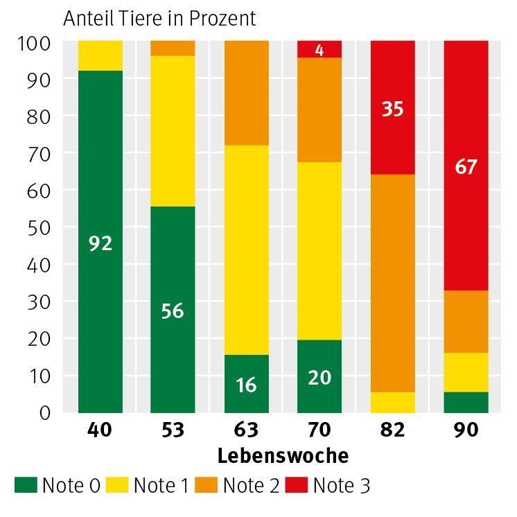 Grafik © LK Grafik © LK