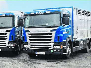 LKW © EZG