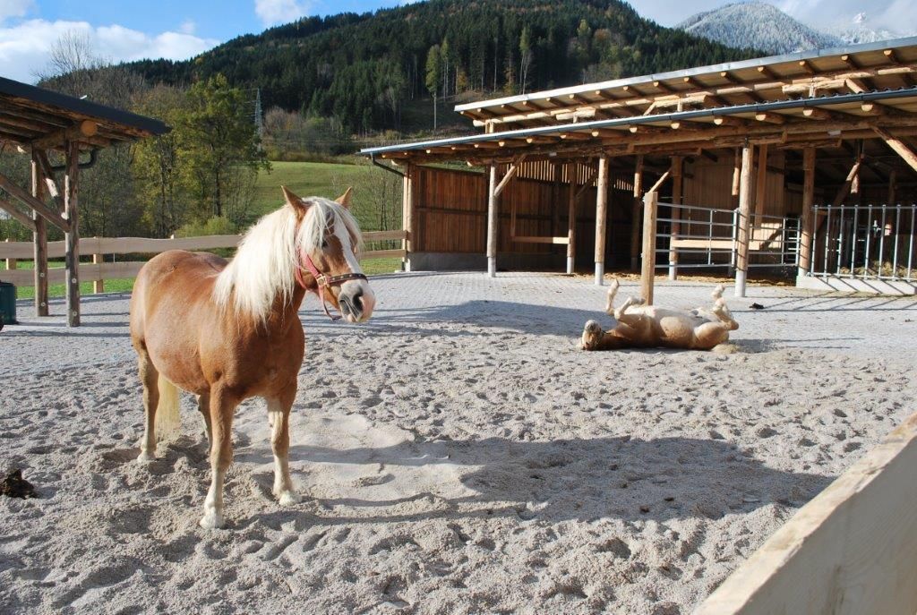 © Stefanie Wagner/LK Niederösterreich © Stefanie Wagner/LK Niederösterreich