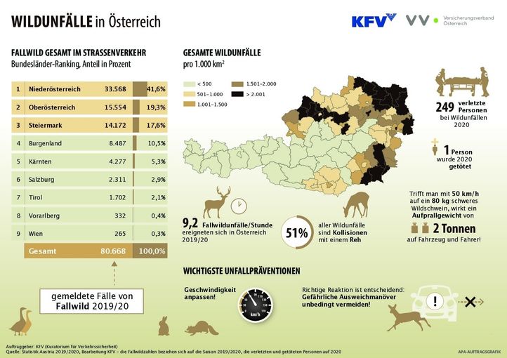 Wildunfälle 2019 20 KFV.jpg