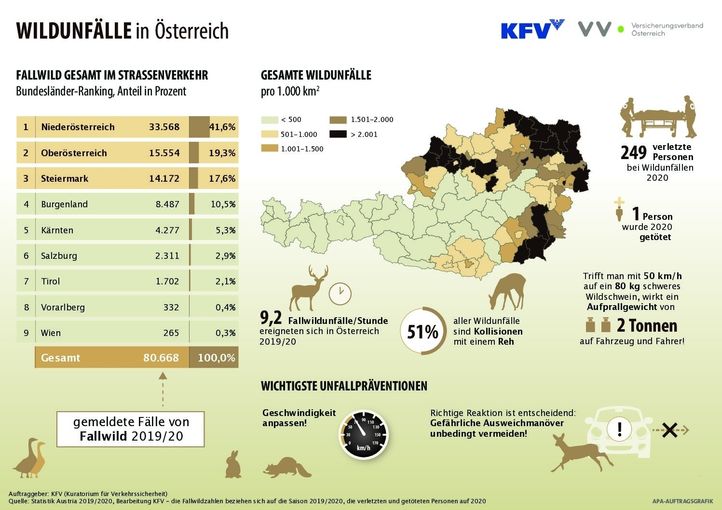 Wildunfälle 2019_20 KFV.jpg © (Quelle Statistik Austria, Bearbeitung KFV) Wildunfälle 2019_20 KFV.jpg © (Quelle Statistik Austria, Bearbeitung KFV)