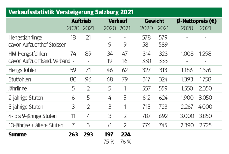 Die Salzburger Norikerpferde sind heiß begehrt.png