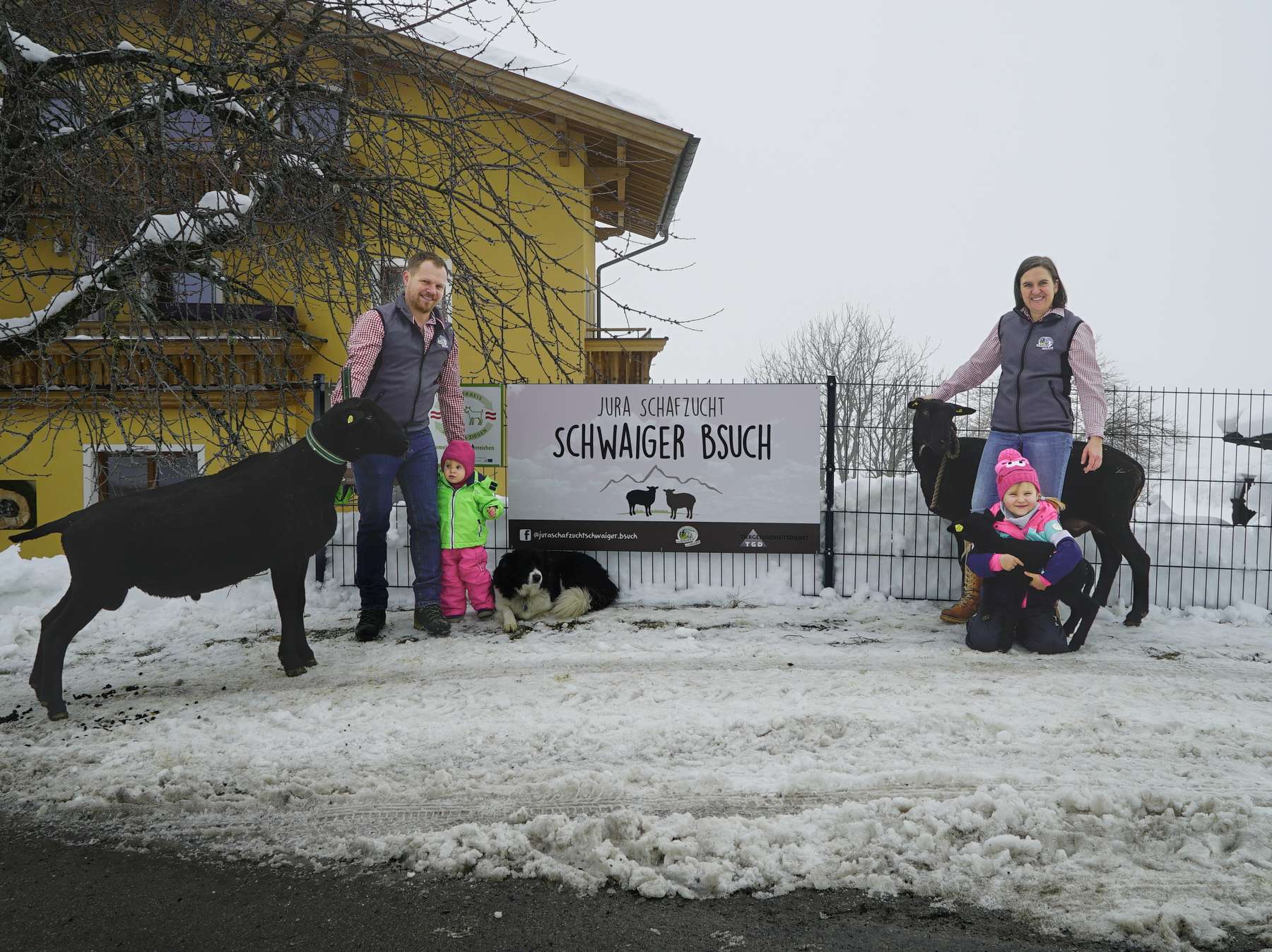 Eine Herde schwarzer Schafe ... – Bsuch in Bad Hofgastein.jpg © Kronreif Eine Herde schwarzer Schafe ... – Bsuch in Bad Hofgastein.jpg © Kronreif