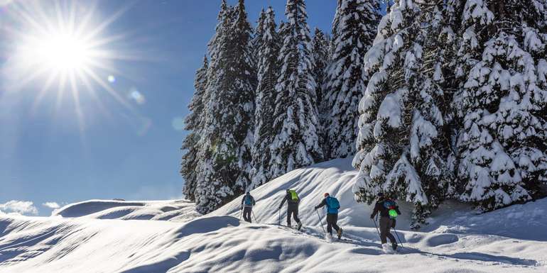 Tröpolacher Alm Tour Jänner 21-46.jpg Tröpolacher Alm Tour Jänner 21-46.jpg
