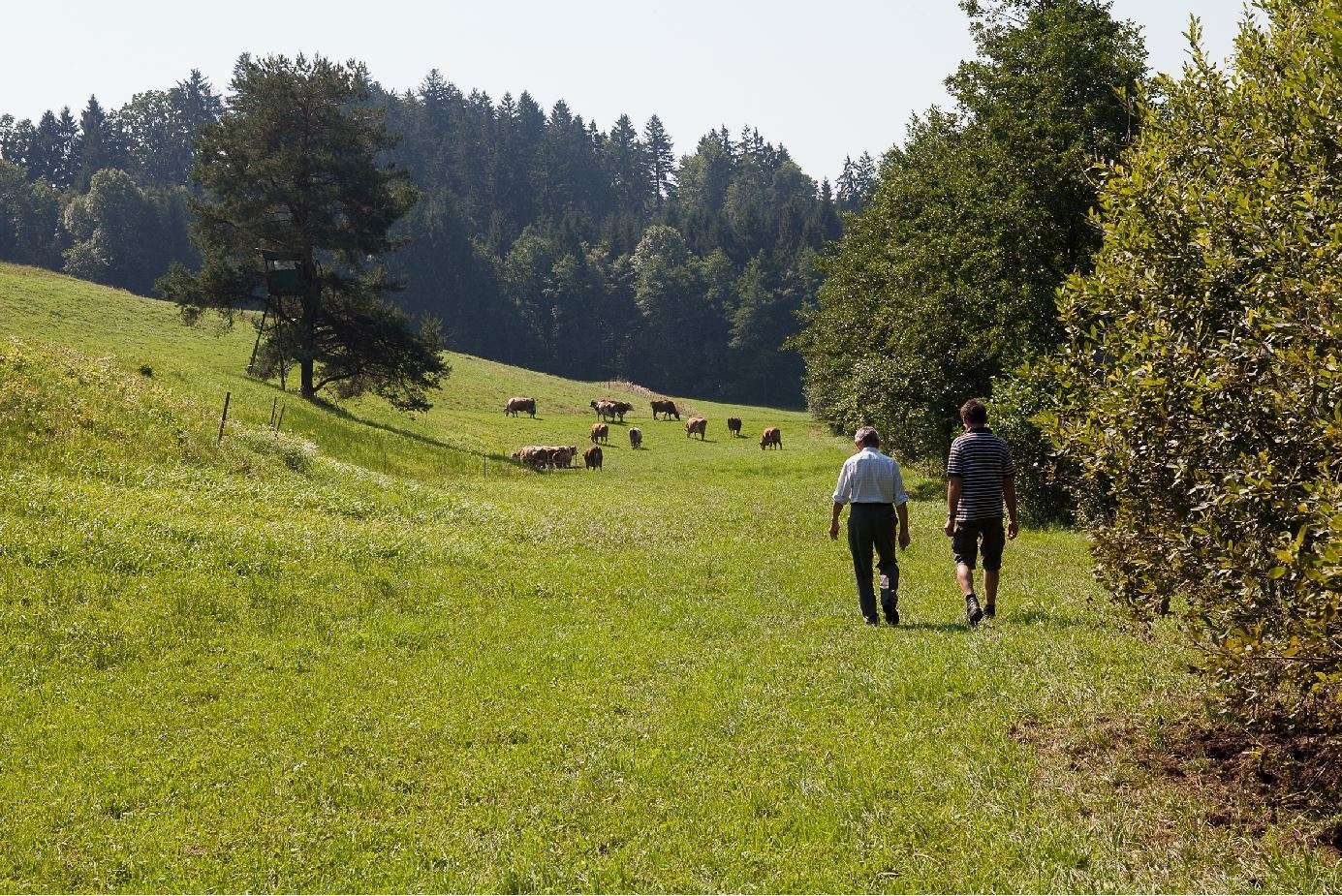 Neue_Wege_in_der_Bio-Landwirtschaft © BIO AUSTRIA/Michaela Theurl