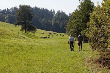Neue_Wege_in_der_Bio-Landwirtschaft © BIO AUSTRIA/Michaela Theurl