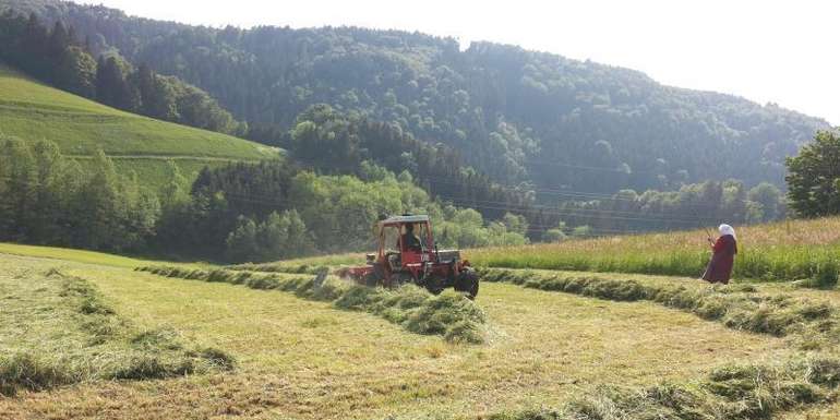 Aufmacher Ausgleichszulage Bergbauerngebiet.jpg © Thomas Wallner / LK Oberösterreich