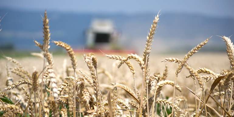 Österreichische Bäuerinnen und Bauern sorgen mit ihrer sorgfältigen und verantwortungsbewussten Bewirtschaftung für sichere und qualitative Lebensmittel. © Eva Lechner/LK Niederösterreich Österreichische Bäuerinnen und Bauern sorgen mit ihrer sorgfältigen und verantwortungsbewussten Bewirtschaftung für sichere und qualitative Lebensmittel. © Eva Lechner/LK Niederösterreich