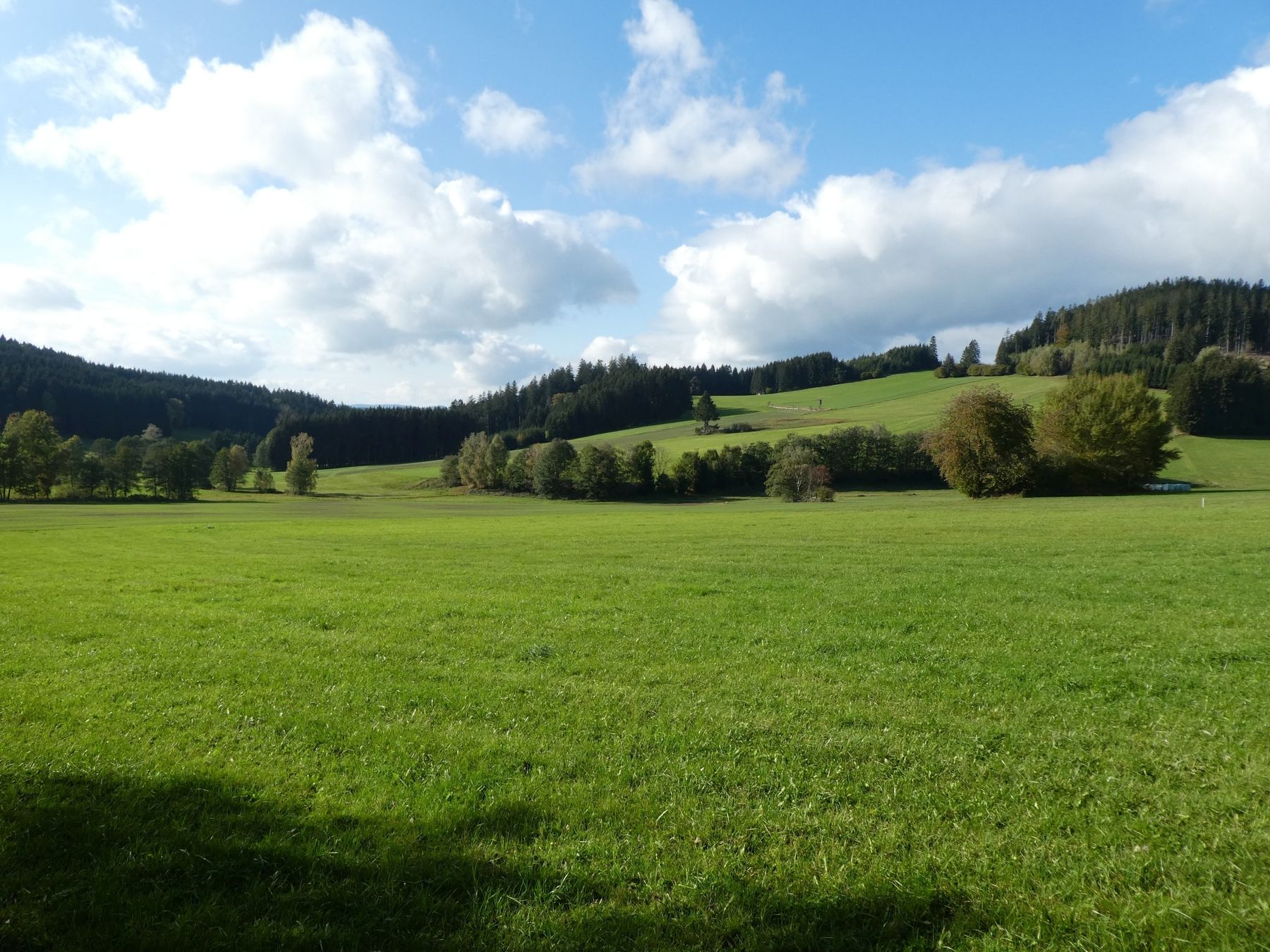 Grünlanderhaltung.jpg © Landwirtschaftskammer Oberösterreich/Thumfart Grünlanderhaltung.jpg © Landwirtschaftskammer Oberösterreich/Thumfart
