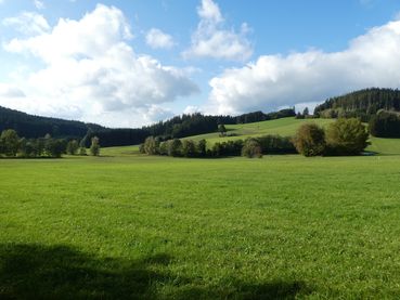 Grünlanderhaltung.jpg © Landwirtschaftskammer Oberösterreich/Thumfart