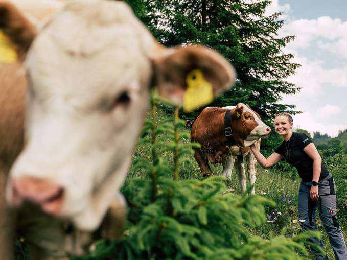 Renate Emmerstorfer mit ihren Rindern © Bernhard Bergmann Renate Emmerstorfer mit ihren Rindern © Bernhard Bergmann