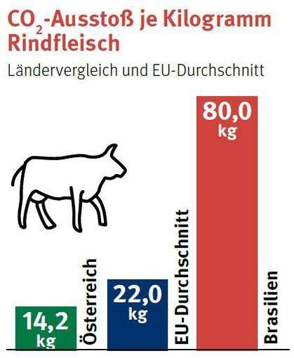 Grafik © LK Stmk Grafik © LK Stmk