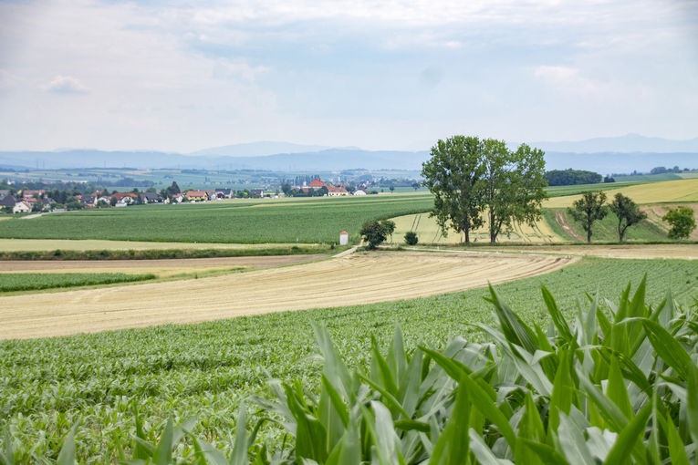 Landschaft © Sonja Hießberger / LK Niederösterreich Landschaft © Sonja Hießberger / LK Niederösterreich