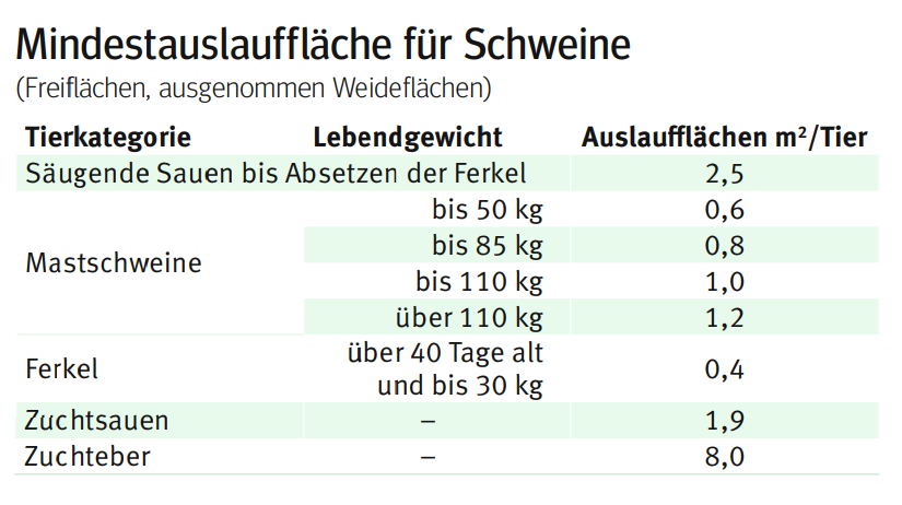 Mindestauslauf Schweine.png © LK Kärnten Mindestauslauf Schweine.png © LK Kärnten