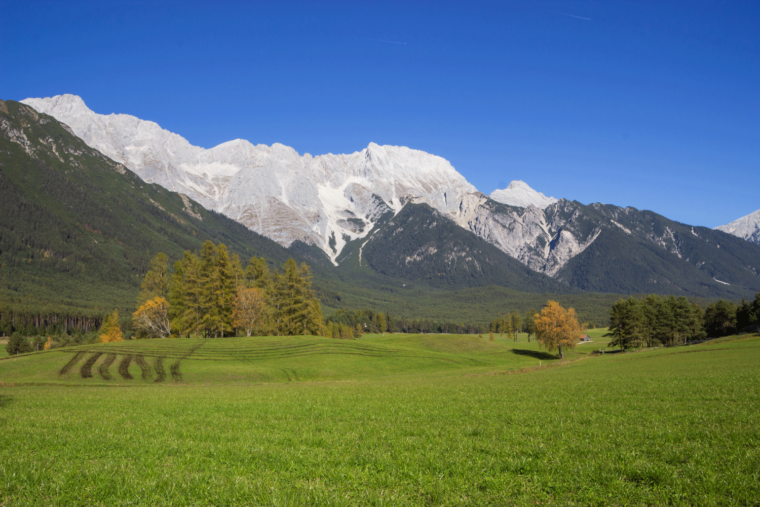 Felder Berge © Michaela Kölle Felder Berge © Michaela Kölle