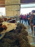 Lehrfahrt der Arbeitskreise Milchproduktion ins oberösterreichische Traunviertel