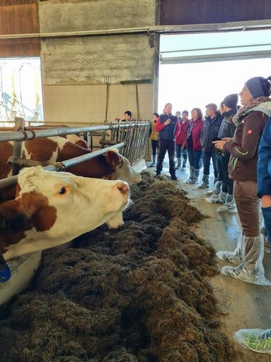 Lehrfahrt der Arbeitskreise Milchproduktion ins oberösterreichische Traunviertel © Marco Horn/LK Niederösterreich