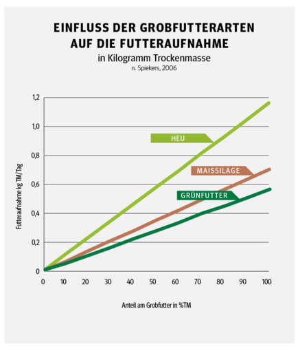 Hochwertiges Grundfutter schont die Geldbörse.png