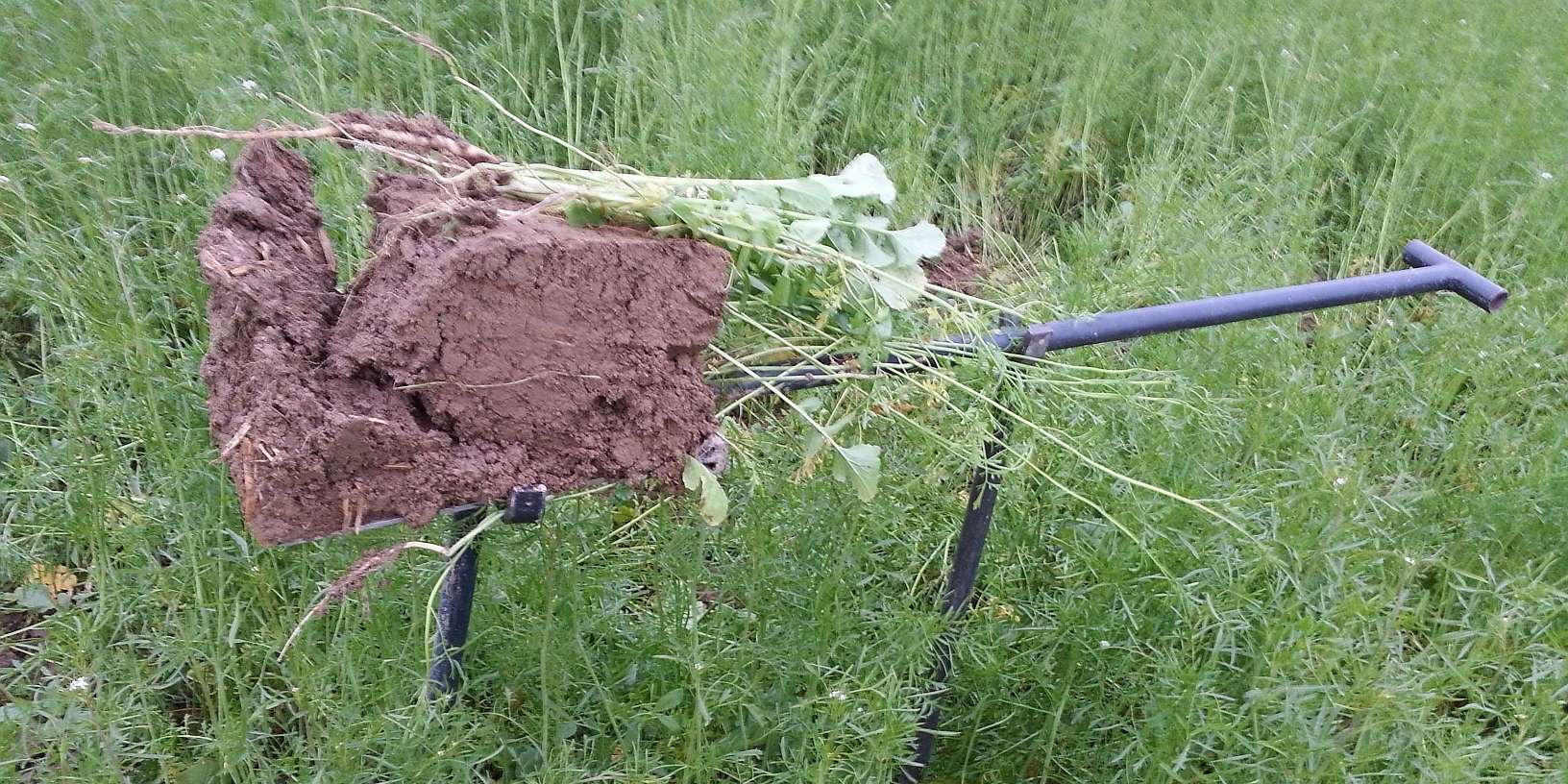 Spatenprobe.jpg © BWSB Spatenprobe.jpg © BWSB