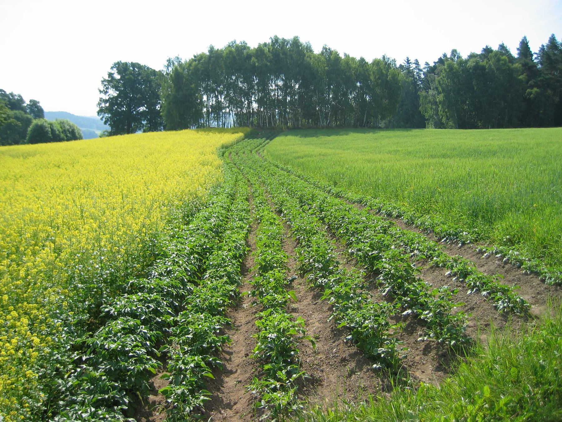 GLÖZ_7.jpg © Landwirtschaftskammer Oberösterreich/Thumfart GLÖZ_7.jpg © Landwirtschaftskammer Oberösterreich/Thumfart