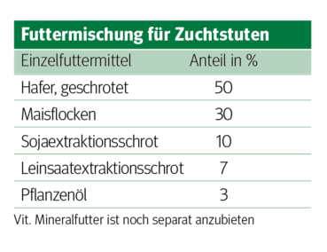 Mit richtiger Ration zu fitten Fohlen und fruchtbaren Stuten.png © Archiv Mit richtiger Ration zu fitten Fohlen und fruchtbaren Stuten.png © Archiv