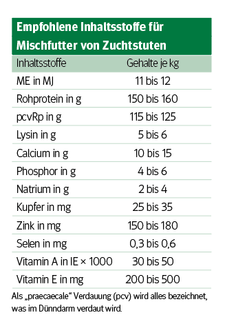 Mit richtiger Ration zu fitten Fohlen und fruchtbaren Stuten.png © Archiv Mit richtiger Ration zu fitten Fohlen und fruchtbaren Stuten.png © Archiv