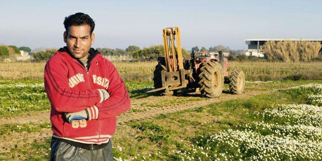 Saisonarbeiter.jpg © PaolikPhotos/stock.adobe.com