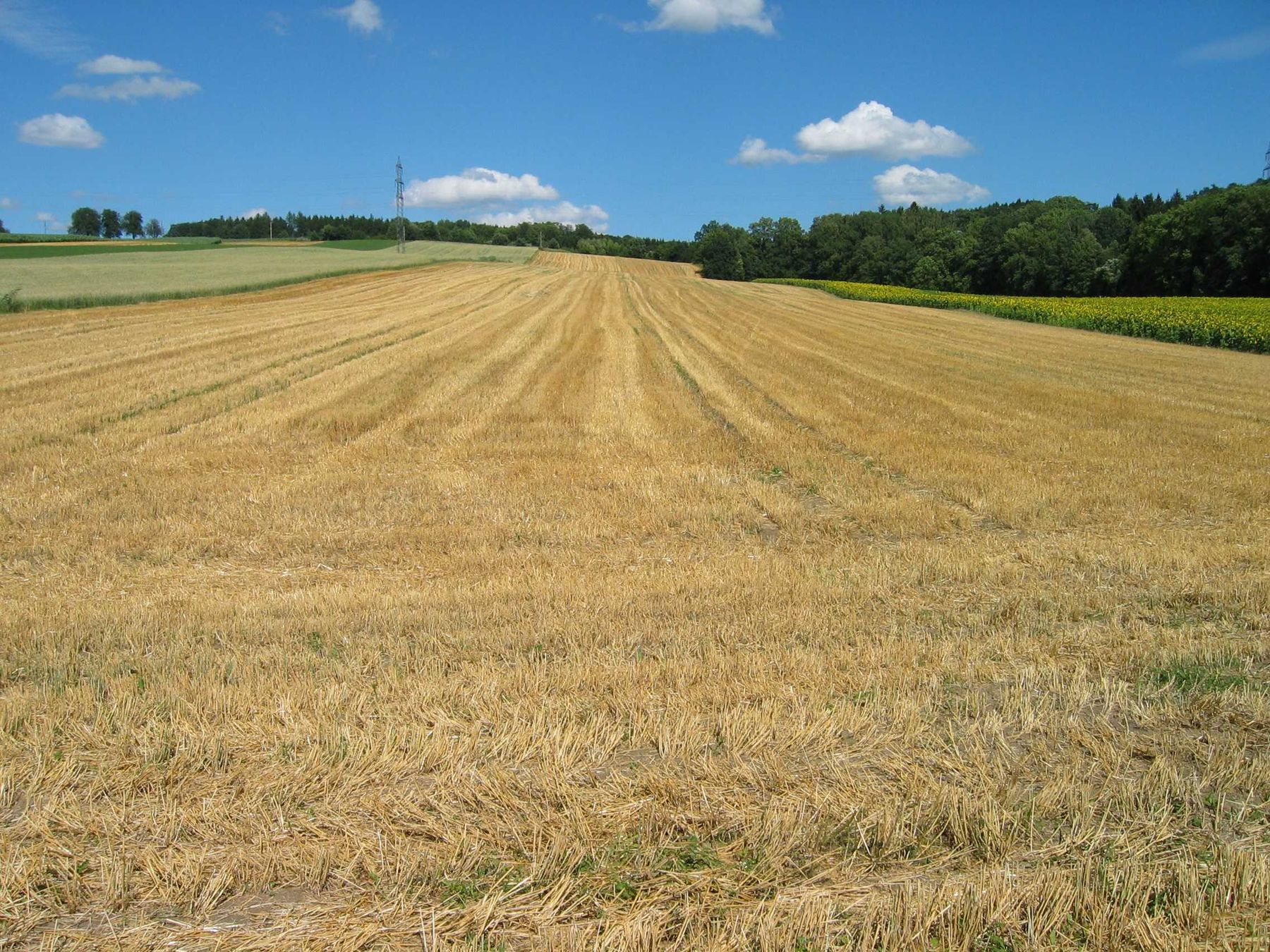 GLÖZ_3.jpg © Landwirtschaftskammer Oberösterreich/Thumfart GLÖZ_3.jpg © Landwirtschaftskammer Oberösterreich/Thumfart