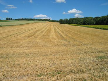 GLÖZ_3.jpg © Landwirtschaftskammer Oberösterreich/Thumfart GLÖZ_3.jpg © Landwirtschaftskammer Oberösterreich/Thumfart