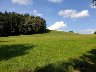 GLÖZ_1.jpg © Landwirtschaftskammer Oberösterreich/Weichselbaumer