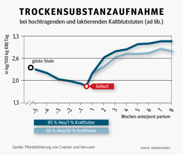 Mit richtiger Ration zu fitten Fohlen und fruchtbaren Stuten.png © Archiv