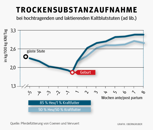 Mit richtiger Ration zu fitten Fohlen und fruchtbaren Stuten.png © Archiv Mit richtiger Ration zu fitten Fohlen und fruchtbaren Stuten.png © Archiv