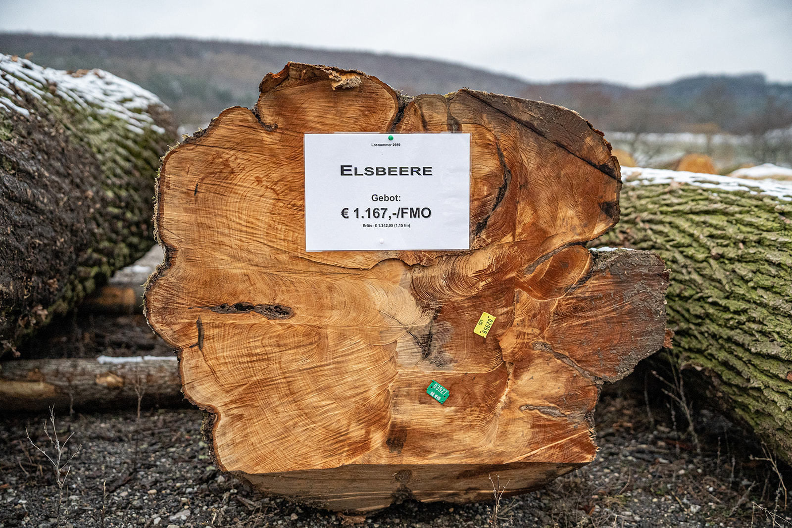 20. Wertholzversteigerung in Heiligenkreuz war ein voller Erfolg © Georg Pomassl 20. Wertholzversteigerung in Heiligenkreuz war ein voller Erfolg © Georg Pomassl