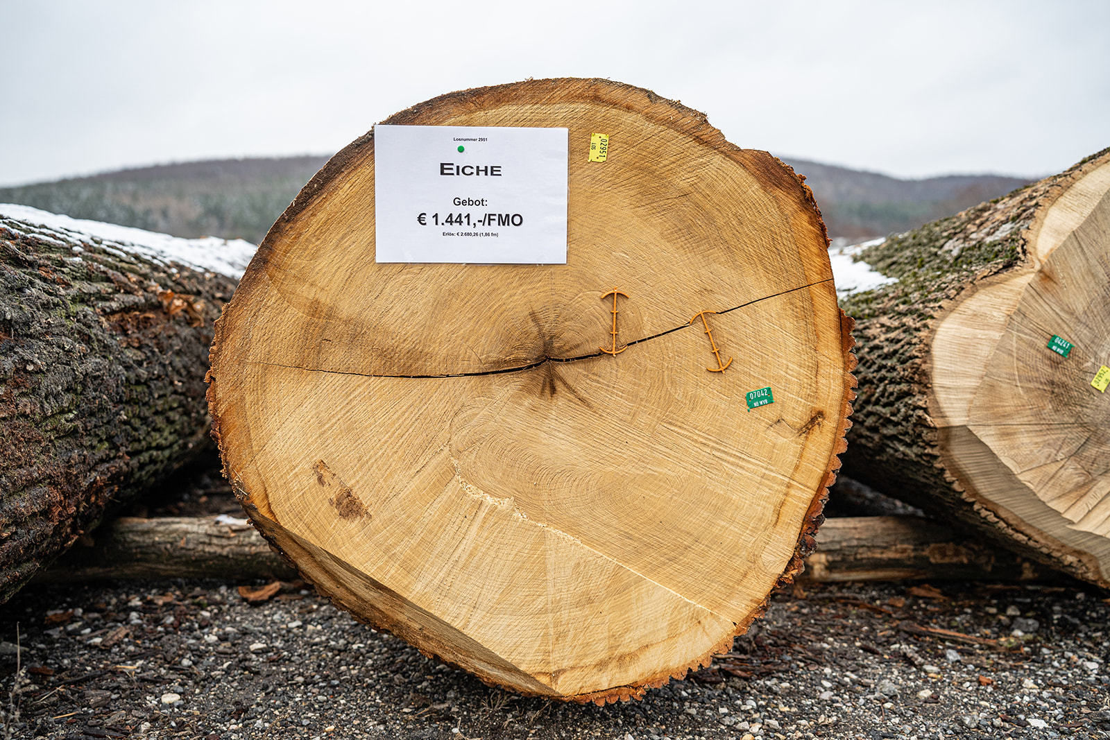 20. Wertholzversteigerung in Heiligenkreuz war ein voller Erfolg © Georg Pomassl 20. Wertholzversteigerung in Heiligenkreuz war ein voller Erfolg © Georg Pomassl