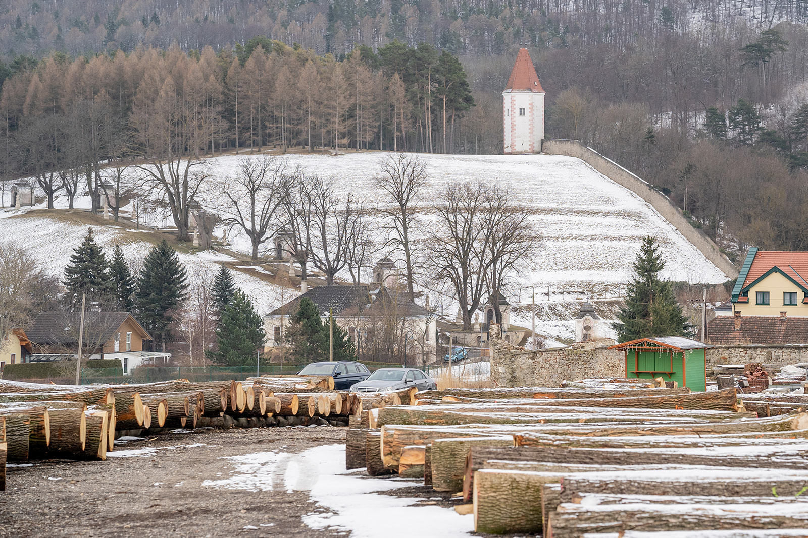 20. Wertholzversteigerung in Heiligenkreuz war ein voller Erfolg © Georg Pomassl 20. Wertholzversteigerung in Heiligenkreuz war ein voller Erfolg © Georg Pomassl
