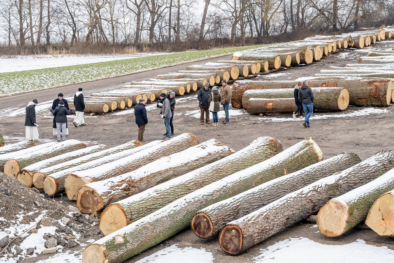 20. Wertholzversteigerung in Heiligenkreuz war ein voller Erfolg © Georg Pomassl 20. Wertholzversteigerung in Heiligenkreuz war ein voller Erfolg © Georg Pomassl