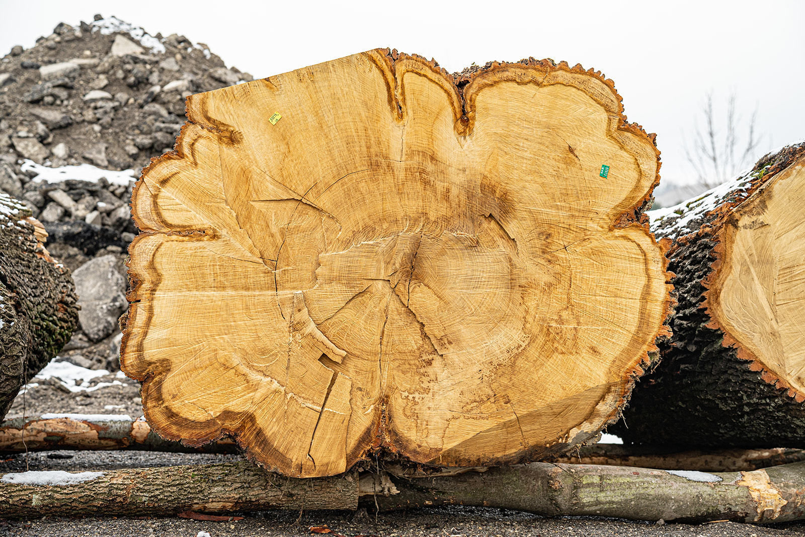 20. Wertholzversteigerung in Heiligenkreuz war ein voller Erfolg © Georg Pomassl 20. Wertholzversteigerung in Heiligenkreuz war ein voller Erfolg © Georg Pomassl