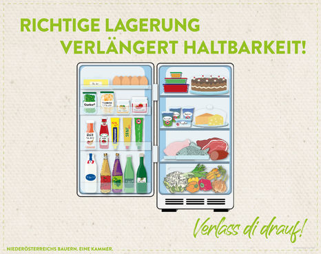 Welche Lebensmittel werden im Kühlschrank wo gelagert.