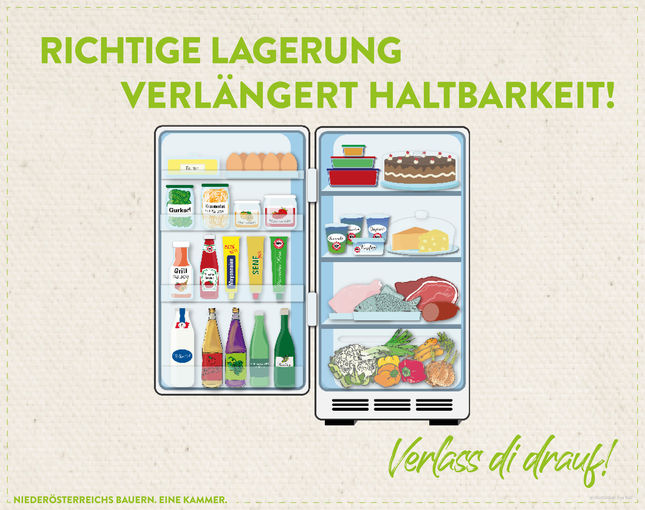 Welche Lebensmittel werden im Kühlschrank wo gelagert. © Marlene Weitzenböck/LK Niederösterreich Welche Lebensmittel werden im Kühlschrank wo gelagert. © Marlene Weitzenböck/LK Niederösterreich