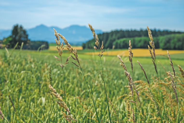 Wer den Wandel will, muss ihn auch mittragen!.png © Salzburger Bauernbund/Jansel Wer den Wandel will, muss ihn auch mittragen!.png © Salzburger Bauernbund/Jansel