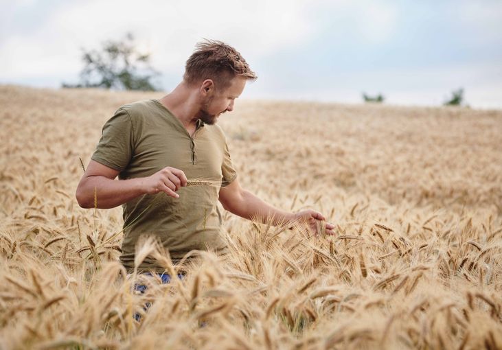 Biobauer im Getreidefeld © Bio Ernte Steiermark