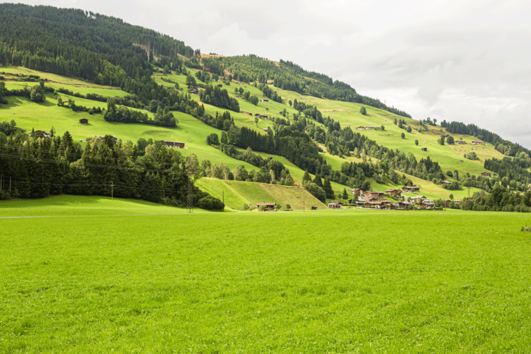 Landschaft Wiesen Häuser © Michaela Kölle