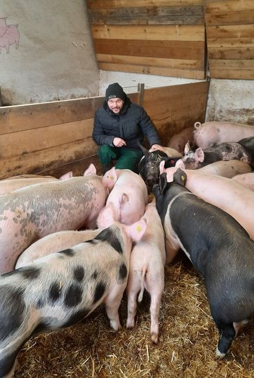 Grunzende Nische: Bedarf nach  Bio-Ferkeln wächst.jpg