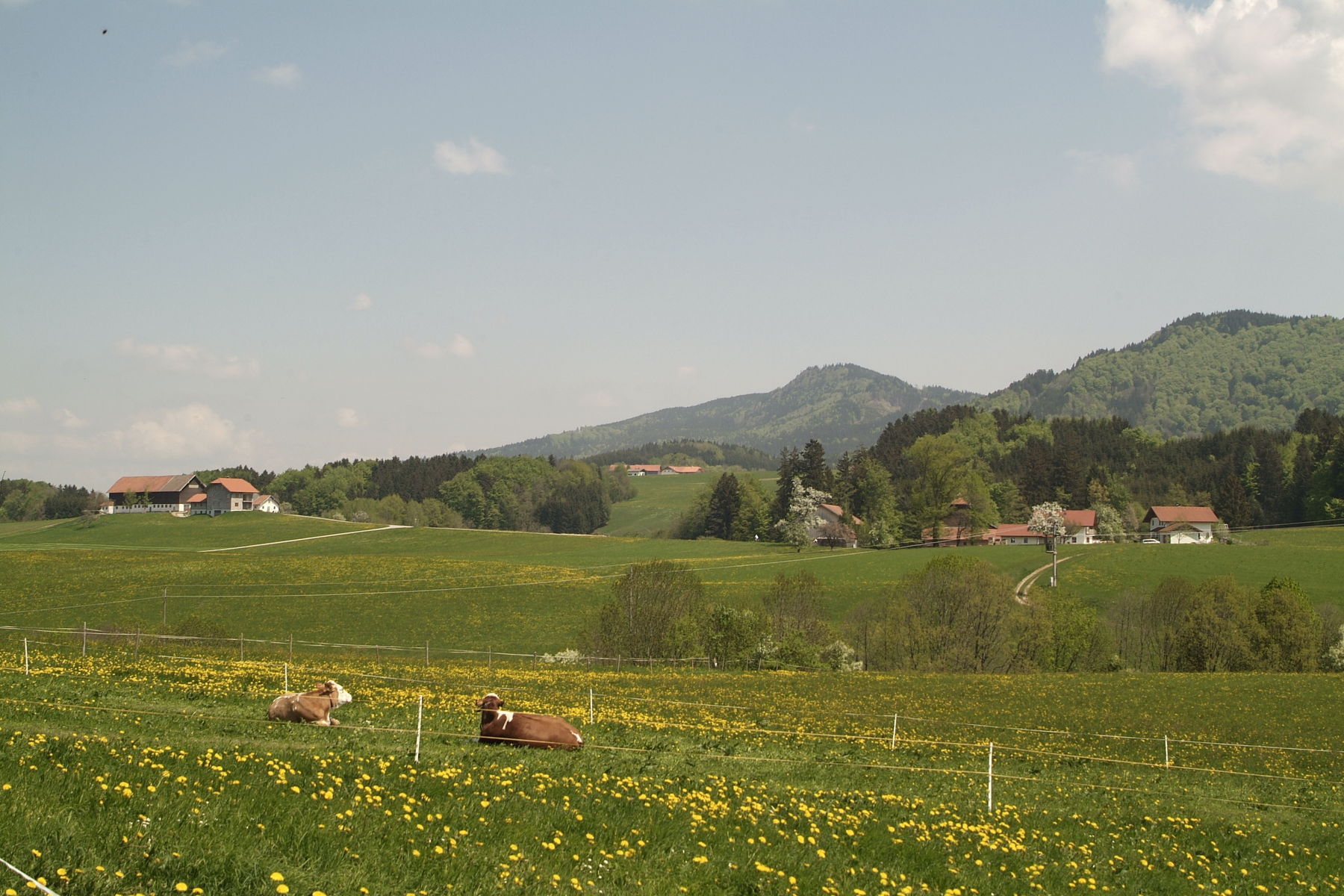 _DSF0130.jpg © Dürnberger _DSF0130.jpg © Dürnberger