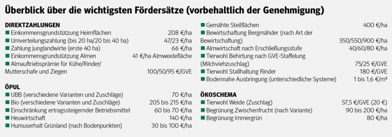 Bildschirmfoto 2022-02-01 um 16.24.18.png © Archiv Bildschirmfoto 2022-02-01 um 16.24.18.png © Archiv