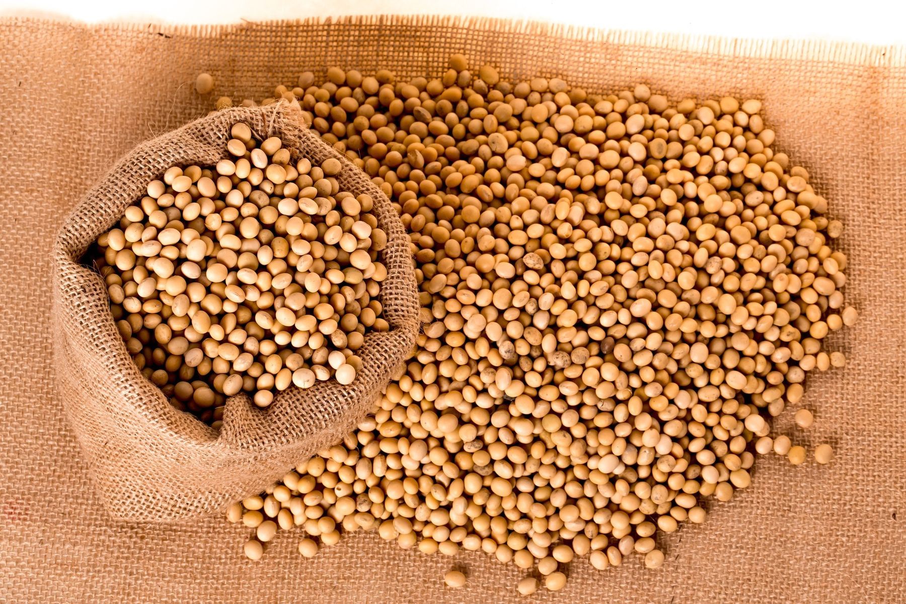 Foto Sojabohnen pixabay pnmratex.jpg © Archiv Foto Sojabohnen pixabay pnmratex.jpg © Archiv
